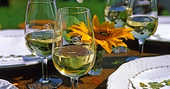 Vin blanc du lac de Bienne