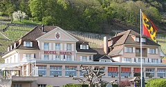 Hôtel Bären