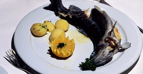 Plate of fish